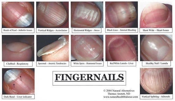 Healthy Fingernails